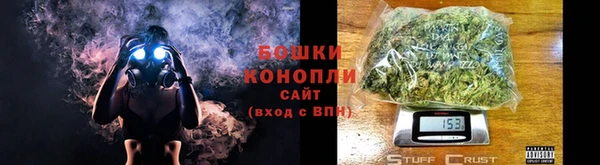 шишки Балахна
