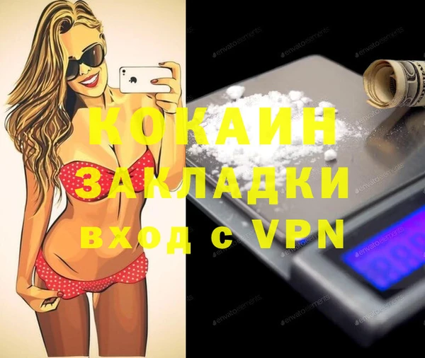 шишки Балахна