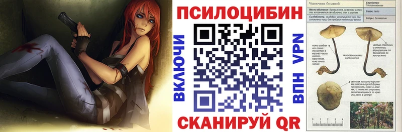 Галлюциногенные грибы Cubensis как найти закладки Бугульма