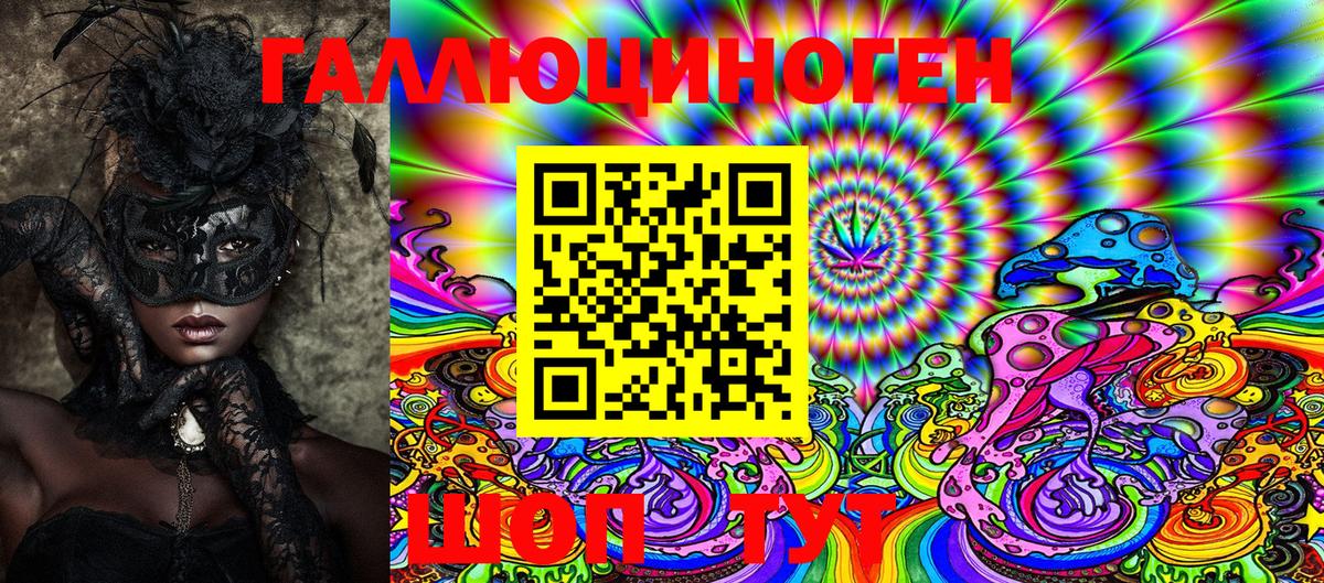 Псилоцибиновые грибы Psilocybine cubensis Бугульма