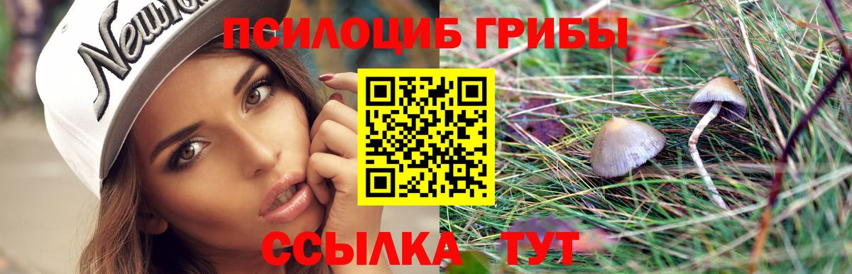 Псилоцибиновые грибы MAGIC MUSHROOMS  Вход с VPN  Бугульма 